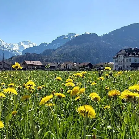 Adventure Interlaken Unterseen