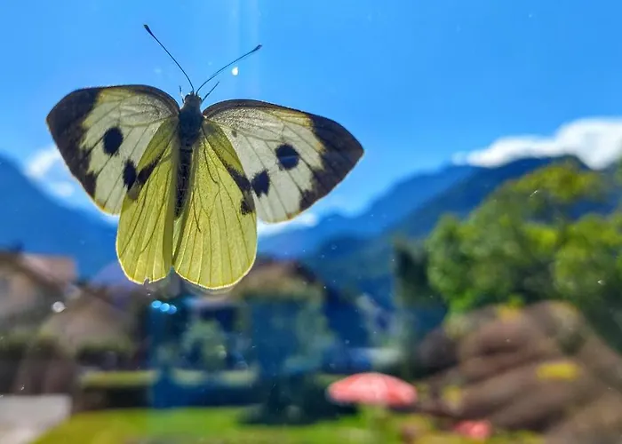 Adventure Interlaken * Unterseen