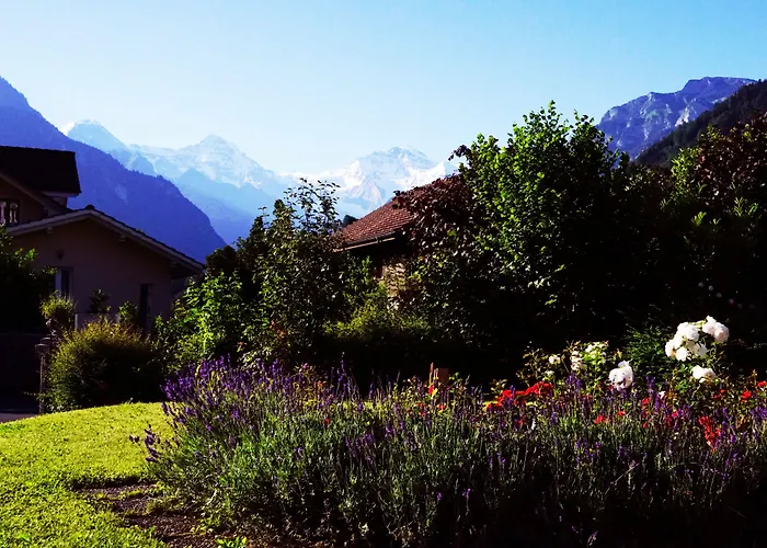 Albergue Adventure Interlaken Unterseen
