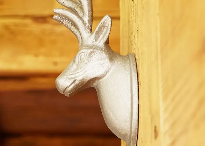 Adventure Interlaken *