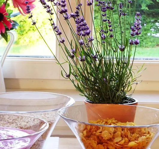 Adventure Interlaken *