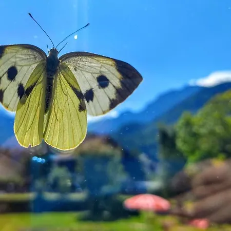 Adventure Interlaken * Unterseen