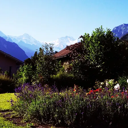 Vandrarhem Adventure Interlaken Unterseen