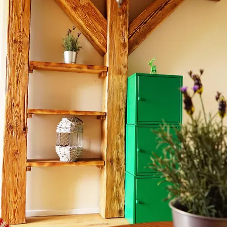 Adventure Interlaken *