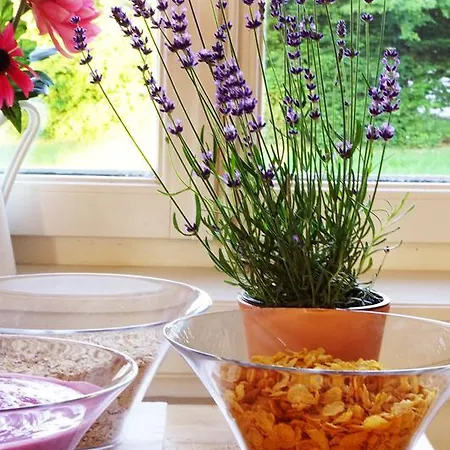 어드벤처 인터라켄 *